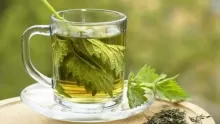 اعشاب لزيادة النشاط
