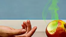 أبرز أسباب تلوث الغذاء