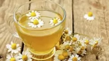 ما هو شيح البابونج وفوائده المذهلة؟