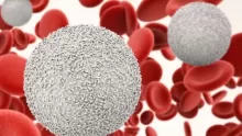 أنواع كريات الدم البيضاء