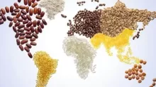 مفهوم الأمن الغذائي