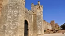 دراسة تاريخ المغرب القديم