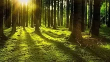 ما هو تعريف الطبيعة؟ وما تأثير الإنسان عليها؟