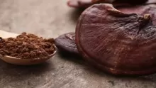 أبرز فوائد فطر الريشي