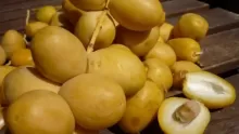 ما هي فوائد البلح الأصفر للجنس والحامل وأضراره ؟