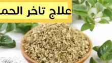 ما هي فوائد البردقوش للحمل والصحة والجمال؟