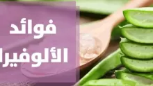 ما هي فوائد جل الصبار للوجة قبل النوم وطرق استخدامها؟