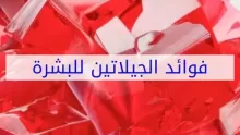 فوائد الجلاتين للبشرة وللشعر تعرف عليها الآن