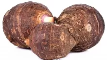 ما هو القلقاس؟ وما فوائده وطريقة تحضيره بالمنزل؟؟