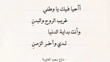 قصيدة عن الوطن، وأهم خصائص الشعر الوطني