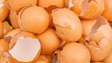 ما هي استخدامات قشر البيض المنزلية والجمالية؟؟