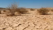 ما هي ظاهرة التصحر ؟؟ وما هي أسباب حدوثها ؟؟
