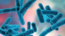 البكتيريا النافعة وفوائدها وكيفية زيادتها في جسم الإنسان