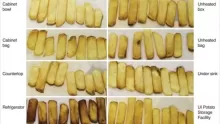 طريقة تخزين البطاطس وفوائدها الصحية للإنسان