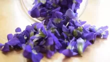 ما هي فوائد زهرة البنفسج المذهلة؟
