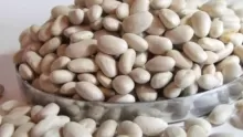 علامات فساد الفاصوليا البيضاء وأضرارها وفوائدها