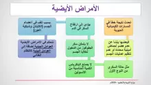 الأمراض الغير معدية وأنواعها وكيفية الوقاية منها