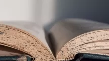 تعريف شعر الغزل وأشهر شعرائه من العرب