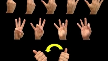 ما هي لغة النمسا الرسمية؟