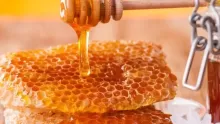 ما هي فوائد عسل الدغموس وأضراره؟