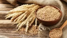 فوائد الشعير الهامة لجميع أجزاء الجسم
