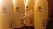 فوائد استخدام شامبو بروتين للشعر التالف والمقصف