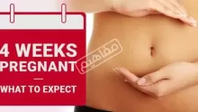 الاسبوع الرابع من الحمل الأعراض وتطور الجنين