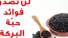 اهم فوائد حبة البركة واستخداماتها للبشرة