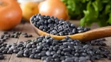 فوائد الحبة السوداء للحامل