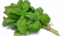 فوائد الريحان للشيب وفوائده العامة للجسم
