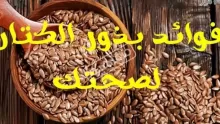 أضرار بذرة القاطونة للتخسيس.. هل هي حقيقية؟