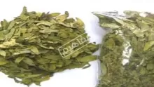فوائد السلاميكا وطريقة الاستخدام