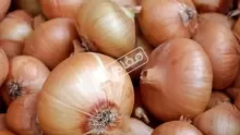 هل البصل ممنوع في الرجيم؟ وما أفضل طرق استخدامه؟؟