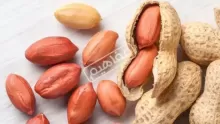 فوائد الفول السوداني للرجيم ونصائح لإدراجه في النظام الغذائي