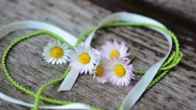 هل الثقة بالحب لها تأثير على العلاقات العاطفية؟ وما هو تأثيرها؟