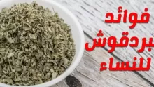 تعرف على كيفية علاج تكيس المبايض بالبردقوش