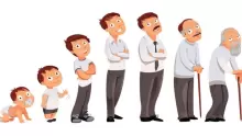 ما هي أهم مراحل النمو البيولوجية للإنسان في علم النفس؟