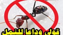 مبيد للنمل والصراصير وجميع أنواع الحشرات للتخلص منها بسهولة