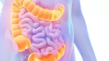 ما هو الفرق بين القولون العصبي والهضمي؟