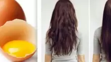 أهم فوائد البيض للشعر لتقويته وإعادة لمعانه