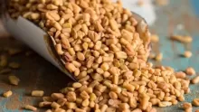 أهم فوائد حبوب الحلبه للتسمين وصحة الجسم