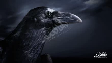 ماذا يعني اللون الأسود؟ وهل يؤثر اللون الأسود على نفسية الإنسان؟