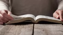 ملخص كتاب محاط بالحمقى لتوماس إريكسون