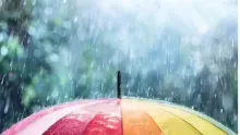 أهم عبارات عن المطر والفرق بينه وبين الغيث وفوائده