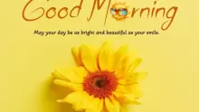 أبرز فوائد و إيجابيات صباح الخير وأشهر عبارات تحية الصباح