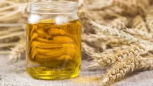 ما هو زيت جنين القمح وفوائده؟