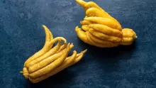 ما هي فاكهة يد بوذا؟ وهل لها فوائد صحية؟