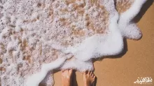 ما هو زبد البحر فوائده المذهلة؟