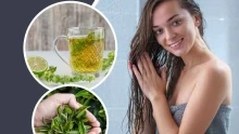 فوائد الشاي الأخضر للشعر وماسكاته الفعالة