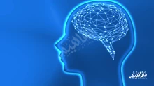 مجالات استخدام الخريطة الذهنية وفوائدها ونصائح هامة